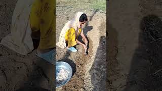 Koye bi kam muskil nhi h yutubeshorts subscribe Mridul vlogger [upl. by Seymour412]