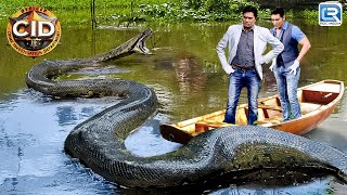 Team CID को मिला Lonavala Bhushi Dam में एक बड़ा Anaconda  सीआईडी  Episode 1420 [upl. by Lucas]