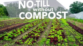 I Stopped Buying Compost for Two Years [upl. by Curry]