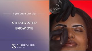 Stepbystep tutorial for flawless hybrid dye brows  Brow amp Lash Dye Course [upl. by Ahsimin222]