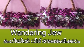 Wandering Jew Plant Decorated in Plastic Bottles  plant decoration method [upl. by Euqnomod]