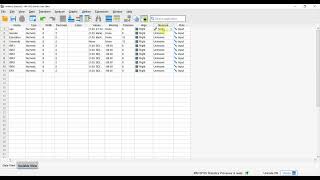 SPSS for beginners Simple data entry Method [upl. by Donnell]