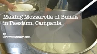 Making Mozzarella di Bufala in Paestum Campania [upl. by Armahs]