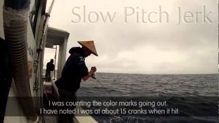 Slow pitch jigging Japanese Anglers Secrets [upl. by Eimak390]