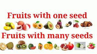 Fruits with one seed and many seeds Fruits name for kids [upl. by Hali]