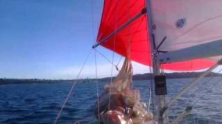 Mainsail amp Spinnaker Sail Kits Built by a Sailrite Customer [upl. by Eynttirb]