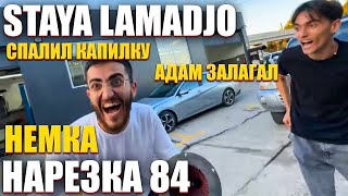 STAYA LAMADJO НАРЕЗКА 84  АДАМ ЗАЛАГАЛ  СПАЛИЛ КАПИЛКУ  НЕМКА [upl. by Sallyann]