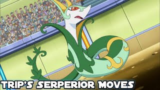 Trips Serperior Moves [upl. by Whitaker]