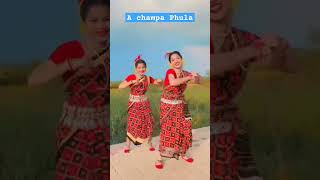 A Champa Phula Sundri Nani dance viral video sambalpuridance song shortvideo dance [upl. by Diann670]