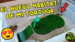 ESTRENAMOS HÁBITAT PARA MI TORTUGA 😍 [upl. by Acalia]