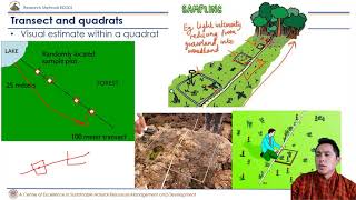 Sampling Units in Ecology Transect and Quadrats [upl. by Berlyn]