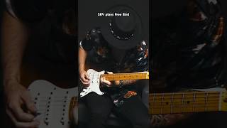 SRV plays Free Bird 🦅🎸 [upl. by Faun]