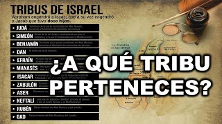 ¿ A QUÉ TRIBU DE ISRAEL PERTENECES [upl. by Eldwen]