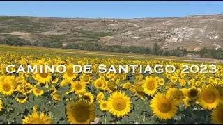 Camino de Santiago 2024 HD [upl. by Ecirtal147]