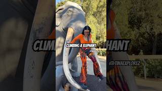 Climbing a Elephant statue fyp viral foryou ootd sandiegozoo sandiegozoo xyzbca [upl. by Annayhs738]