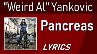 Pancreas  quotWeird Alquot Yankovic  Lyric Video w Backing Vocals [upl. by Euqitsym142]