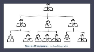 Tipos de organigramas [upl. by Schechter]