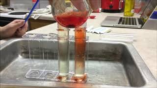 SCIENCE EXPERIMENT  How powerful Bleach is at Removing Color OXIDATION how to remove color [upl. by Derman152]