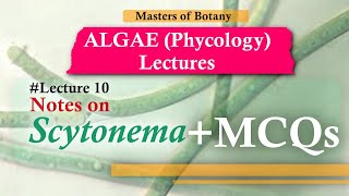 Lecture 10  Scytonema Life Cycle  MCQs Cyanophyceae  Algae Lecture Notes [upl. by Smeaj334]