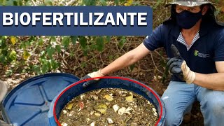 Como Fazer um Biofertilizante [upl. by Shelia]