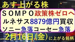 あす上がる株 2024年２月１６日（金）に上がる銘柄 ～最新の日本株での株式投資。初心者でも。ルネサス、SOMPO。トレンドマイクロ、サントリー、ピジョンの決算速報 ～ [upl. by Cousins]