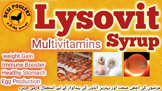 Lysovit Use and Benefits for Chicken  Blessing for Chicks  vitamins  Immune Booster Desi poultry [upl. by Uyekawa]