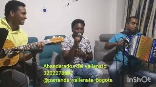 la primera piedra Elías Rosado música de acordeón y guitarra vallenatos viejos corta vena clásicos [upl. by Nealon]