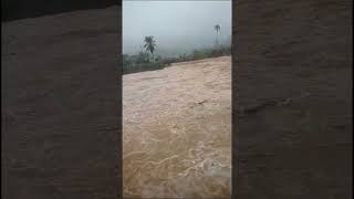 Banjir Hari Ini [upl. by Sinai273]