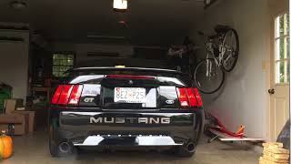 2003 Ford Mustang GT Pypes Cammed Trick Flow [upl. by Esemaj]