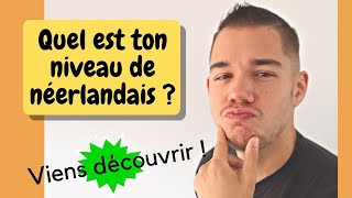 Quel est ton niveau de néerlandais  Viens le découvrir en 5 minutes  Apprendre le néerlandais [upl. by Coralyn162]