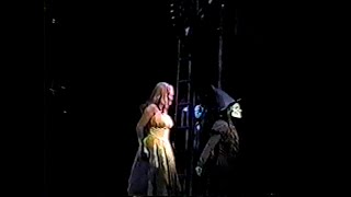 Idina Menzel  Defying Gravity Broadway Video [upl. by Airegin]