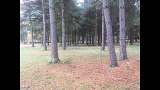 Sherwood Pines Disc Golf course walkthrough [upl. by Nnuahs]