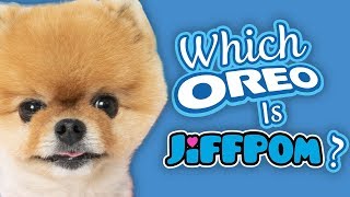 Which Oreo is Jiffpom [upl. by Arebma]