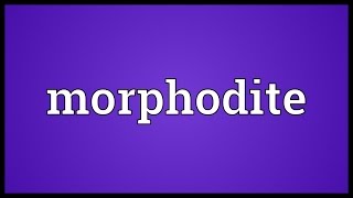 Morphodite Meaning [upl. by Bornie]