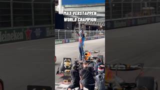 Max Verstappen is the 2024 World Champion  Formula 1 [upl. by Shirberg]