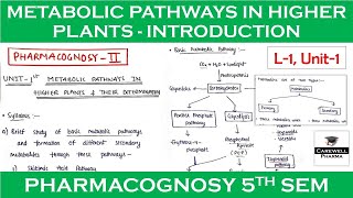 Metabolic pathways in higher plants and their determination  L1 U1  pharmacognosy 5th sem [upl. by Heindrick]