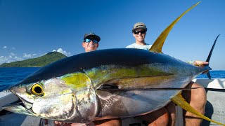 MASSIVE Mexican Tuna Catch Clean Cook Yellowfin Tuna [upl. by Vikky]