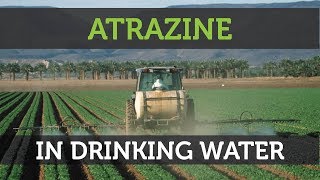 Atrazine Contamination In Drinking Water What You Need To Know [upl. by Borries]