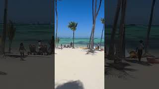 Barcelo Bavaro Palace Punta Cana [upl. by Ahsiled]