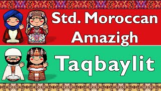 STANDARD MOROCCAN AMAZIGH amp TAQBAYLITKABYLE [upl. by Sevart131]