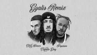 Capella Grey feat Chris Brown amp Popcaan  Gyalis REMIX [upl. by Aidaas]