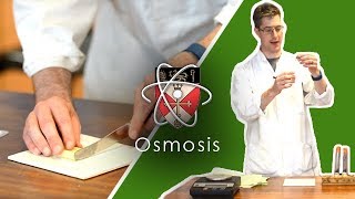 Osmosis  GCSE Science Required Practical [upl. by Eintirb]