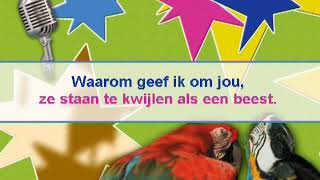 Andre Hazes  Het rode licht  KARAOKE  Lyrics [upl. by Matti668]