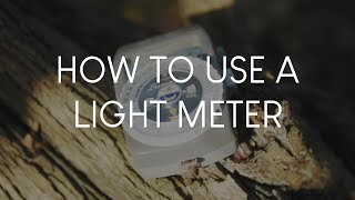 How to Use a Light Meter Reflective amp Incident  PRO TIPS FOR BEGINNERS  Film Photography [upl. by Sal]