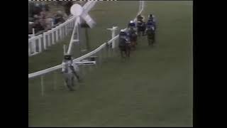 1984 Tolworth Hurdle  Desert Orchid [upl. by Ennoryt]