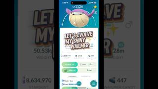 Let’s Evolve My Shiny ✨ wailmer pokemon pogo shinypokemon pokemongo video games gamer [upl. by Gant]