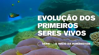 Evolução dos Primeiros Seres Vivos  Episódio 2 da Série O Inicio da Humanidade [upl. by Tsiuqram]