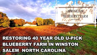 Restoring Sprinkles Blueberry UPick Farm [upl. by Steffie670]