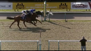 Rab Havlin gets 21 DAY BAN for this ride at Lingfield aboard Stowell [upl. by Manuel]