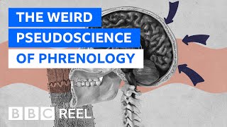 Phrenology The weirdest pseudoscience of them all  BBC REEL [upl. by Ruthann]